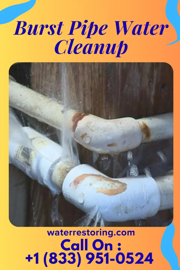 Burst Pipe Water Cleanup in Dixon, WY