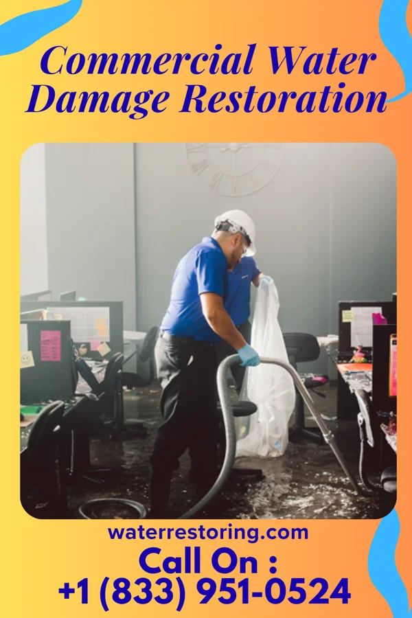 Commercial Water Damage Restoration in Dixon, WY