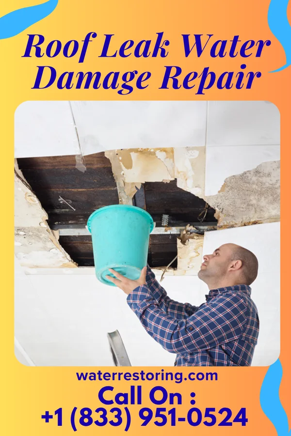 Roof Leak Water Damage Repair in Dixon, WY