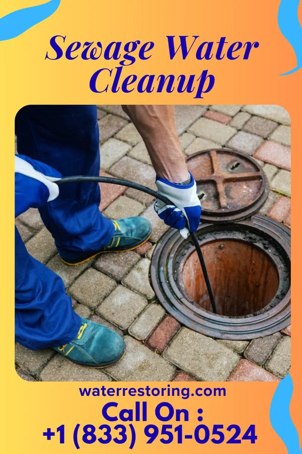 Sewage Water Cleanup in Dixon, WY