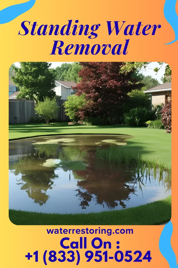 Standing Water Removal in Dixon, WY
